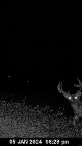 $946,517 | 3498 State Highway East, Zalma, MO 63787