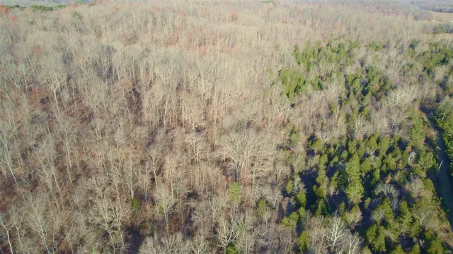 $946,517 | 3498 State Highway East, Zalma, MO 63787