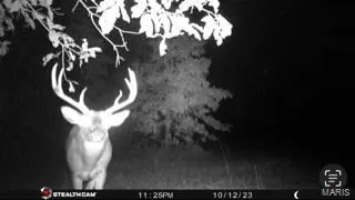 $946,517 | 3498 State Highway East, Zalma, MO 63787