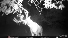 $946,517 | 3498 State Highway East, Zalma, MO 63787