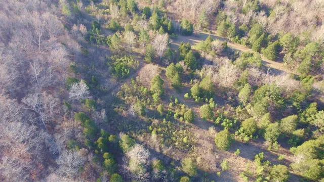 $946,517 | 3498 State Highway East, Zalma, MO 63787