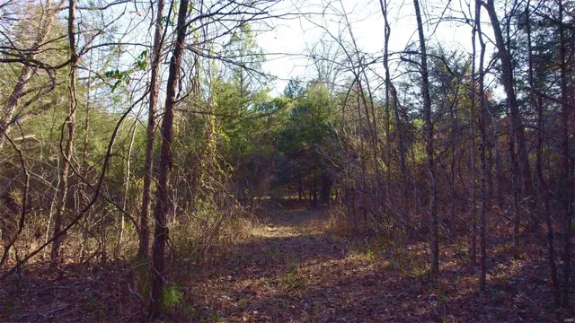 $946,517 | 3498 State Highway East, Zalma, MO 63787