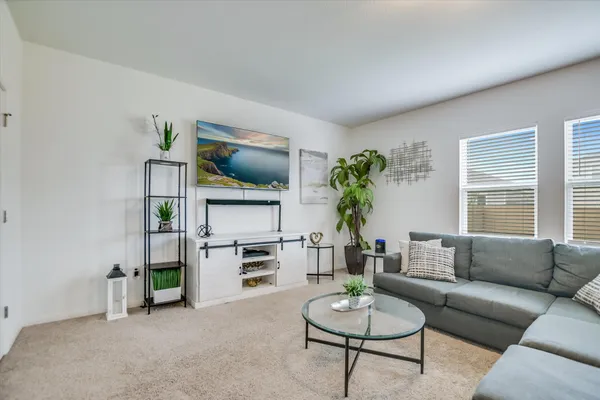 a living room with furniture and a potted plant