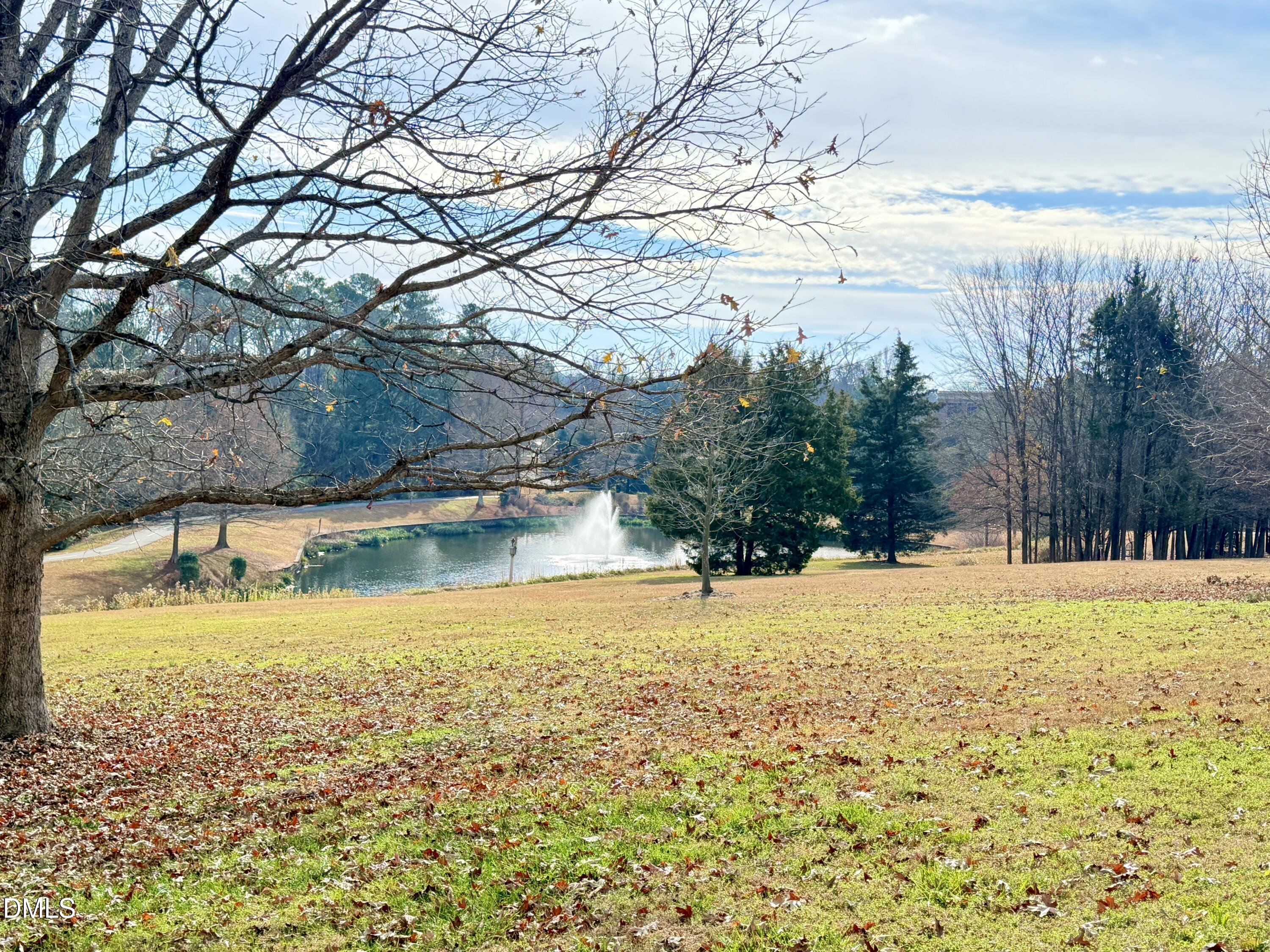 432 West Barbee Chapel Road, Unit 432 Chapel Hill, NC 27517 - Photo 54 of 63 IMG_2981