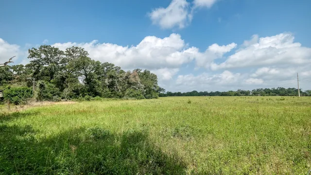a view of a lake and yard with trees