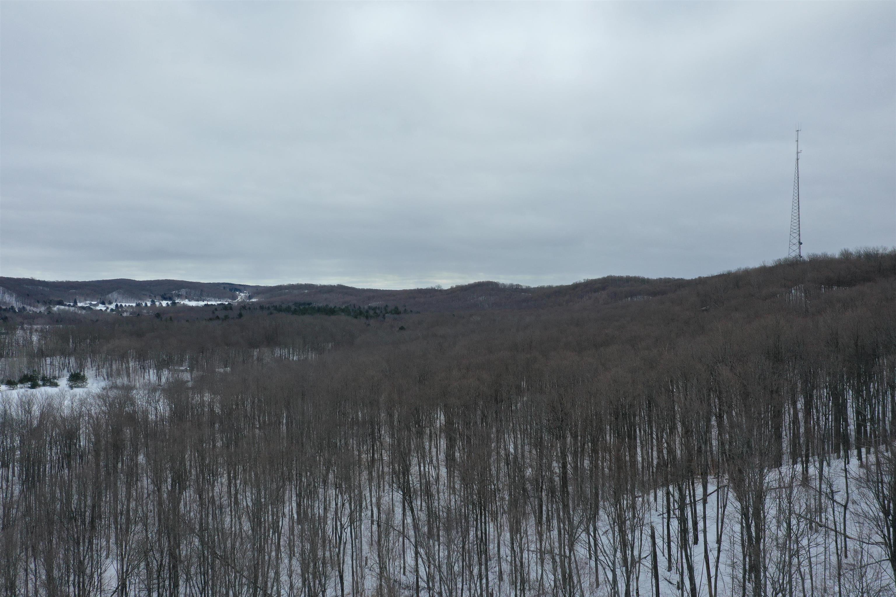 Xxx East Gill Road Carp Lake, MI 49718 - Photo 21 of 34 1907796-20.JPG