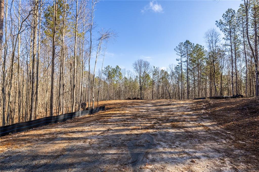 3 Lone Bear Path Dallas, GA 30132 - Photo 3 of 4 a view of a backyard of the house