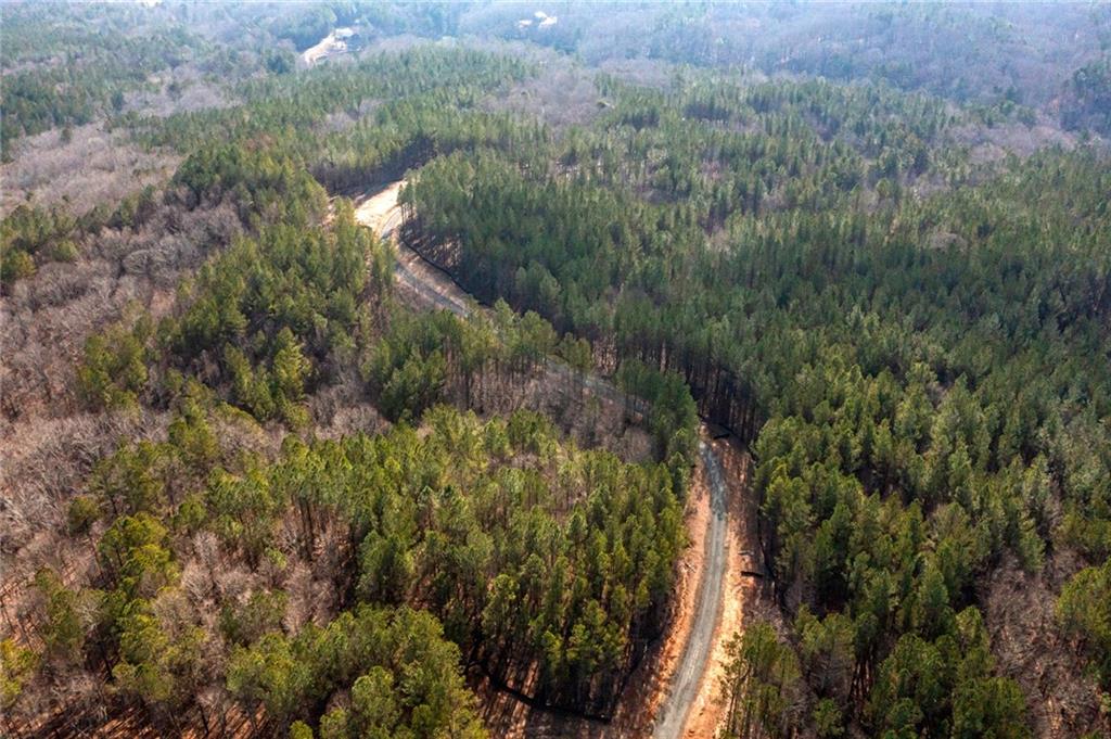 3 Lone Bear Path Dallas, GA 30132 - Photo 4 of 4 a view of a forest with a tree