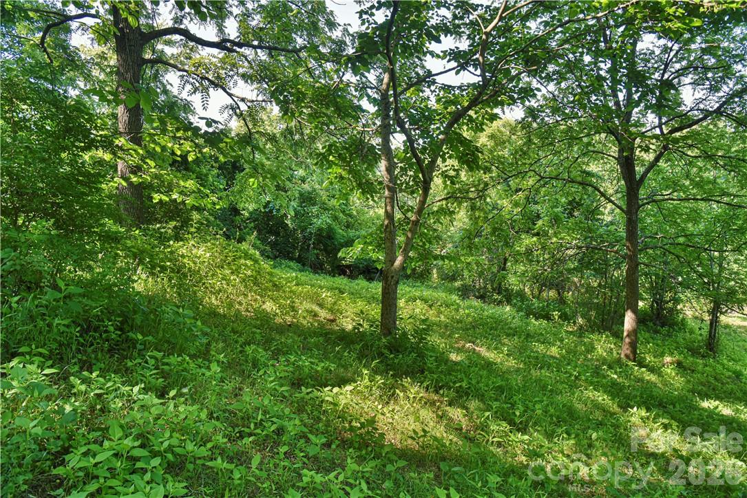 415 Weaverville Road Asheville, NC 28804 - Photo 11 of 47