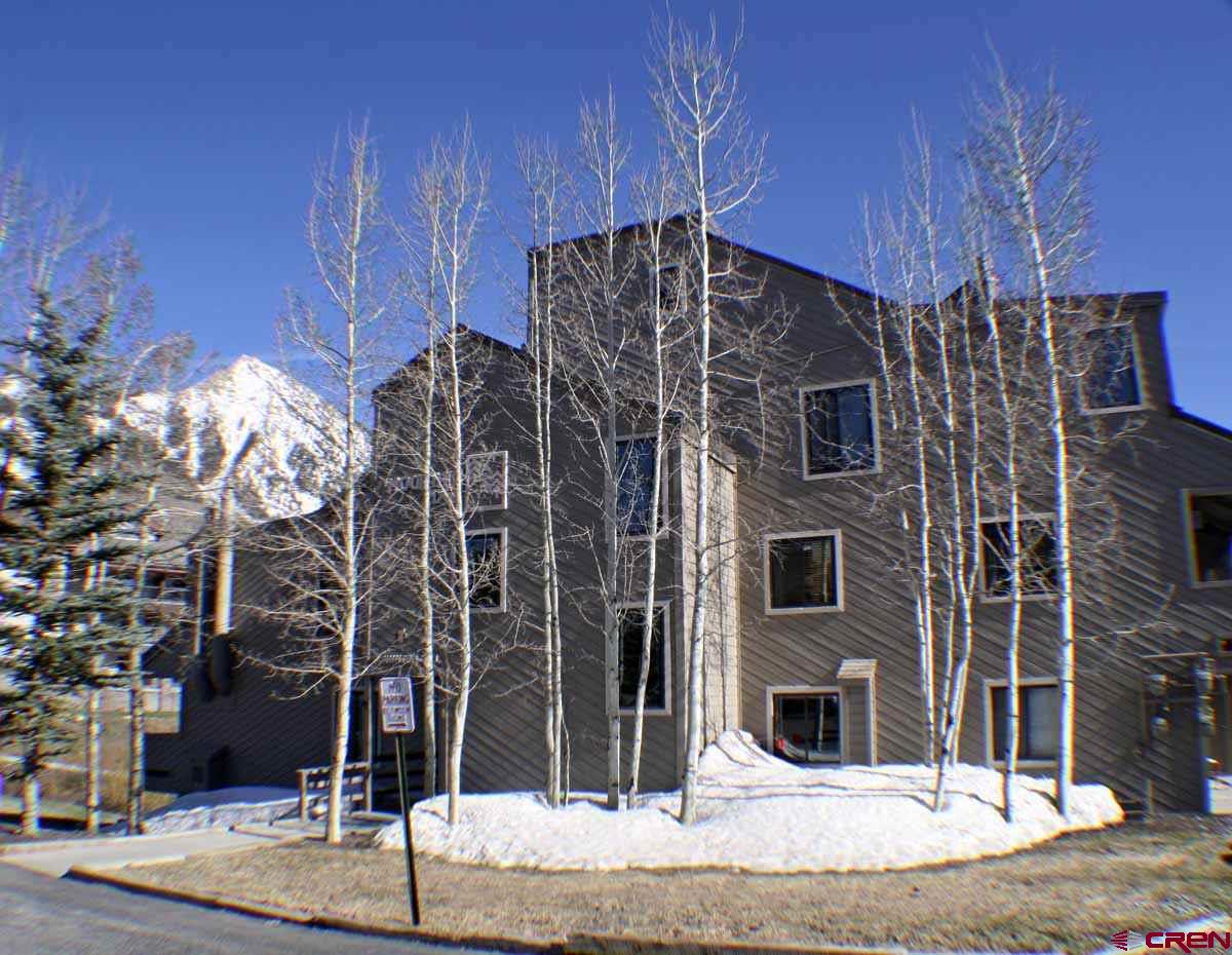 11 Hunter Hill Road, Unit 101 Crested Butte, CO 81225 - Photo 1 of 14 Gallery Image 1