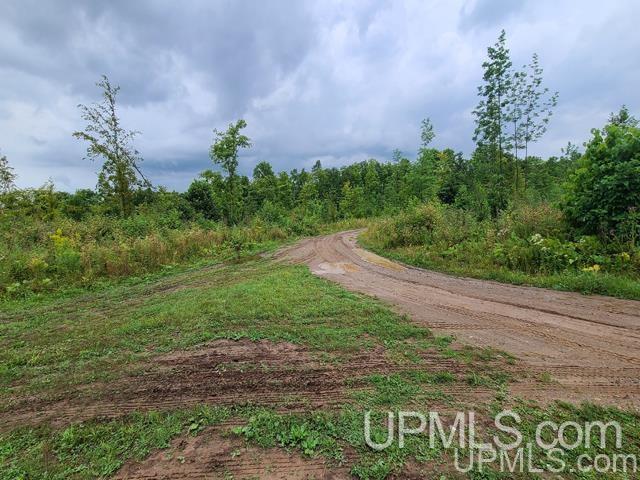 Tbd Bates-Amasa Road Iron River, MI 49935 - Photo 6 of 12