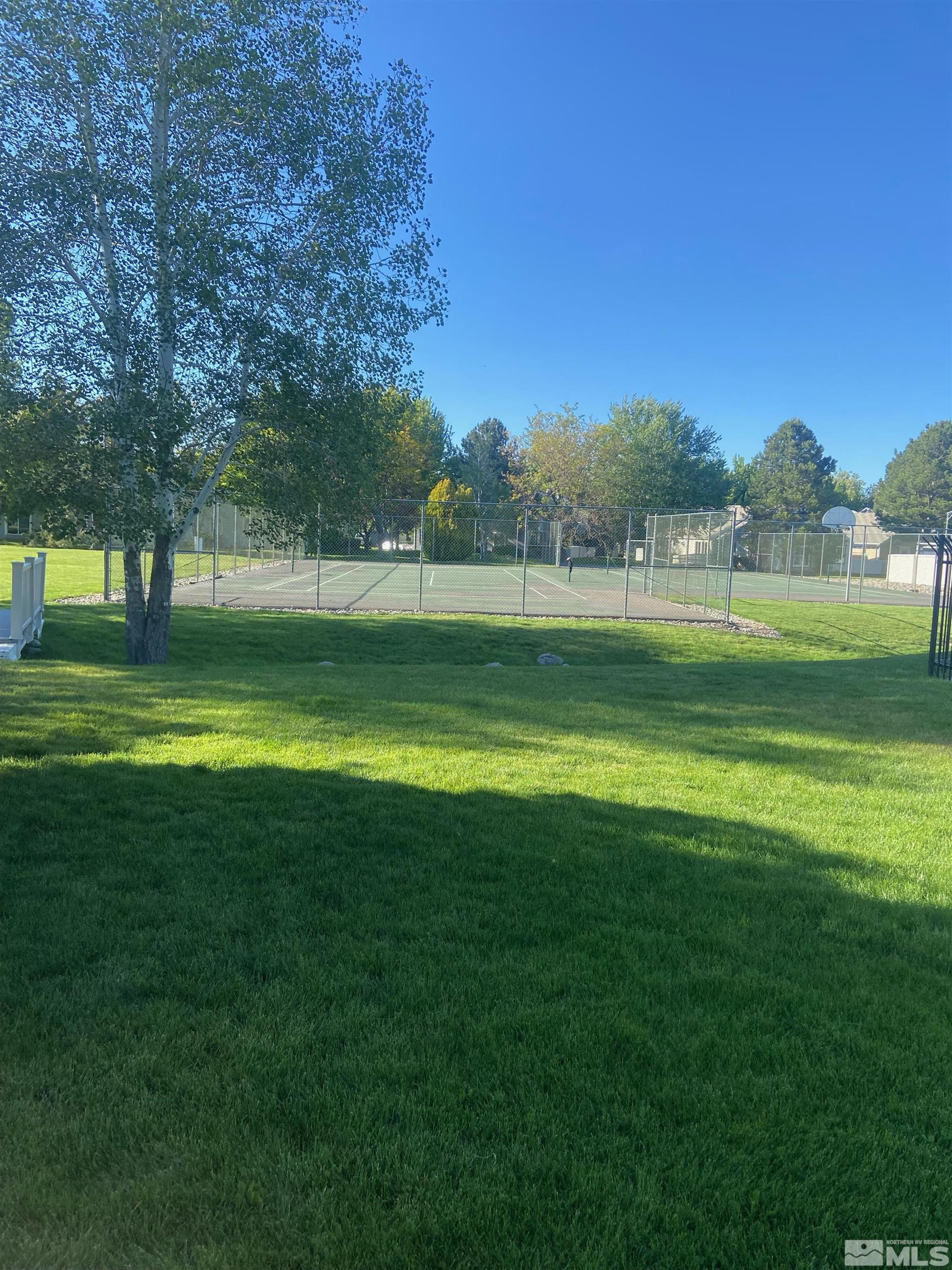 860 Swaledale Drive Reno, NV 89511 - Photo 4 of 19 a view of a big yard with a large trees