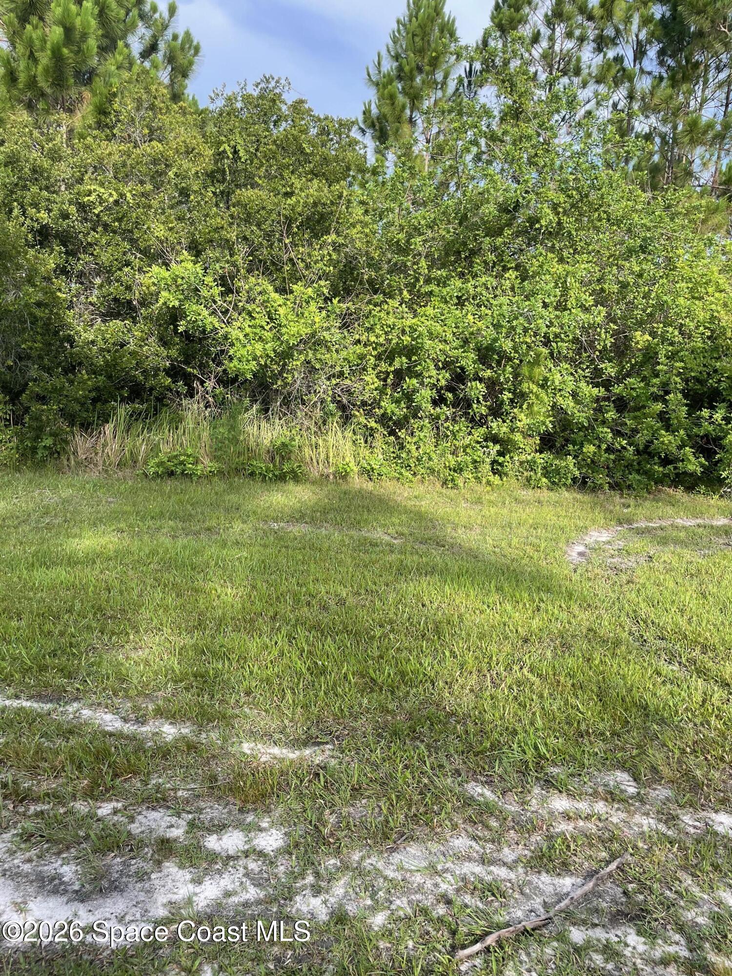 0 Unknown Boulevard Palm Bay, FL 32905 - Photo 6 of 8 a view of a field with a trees