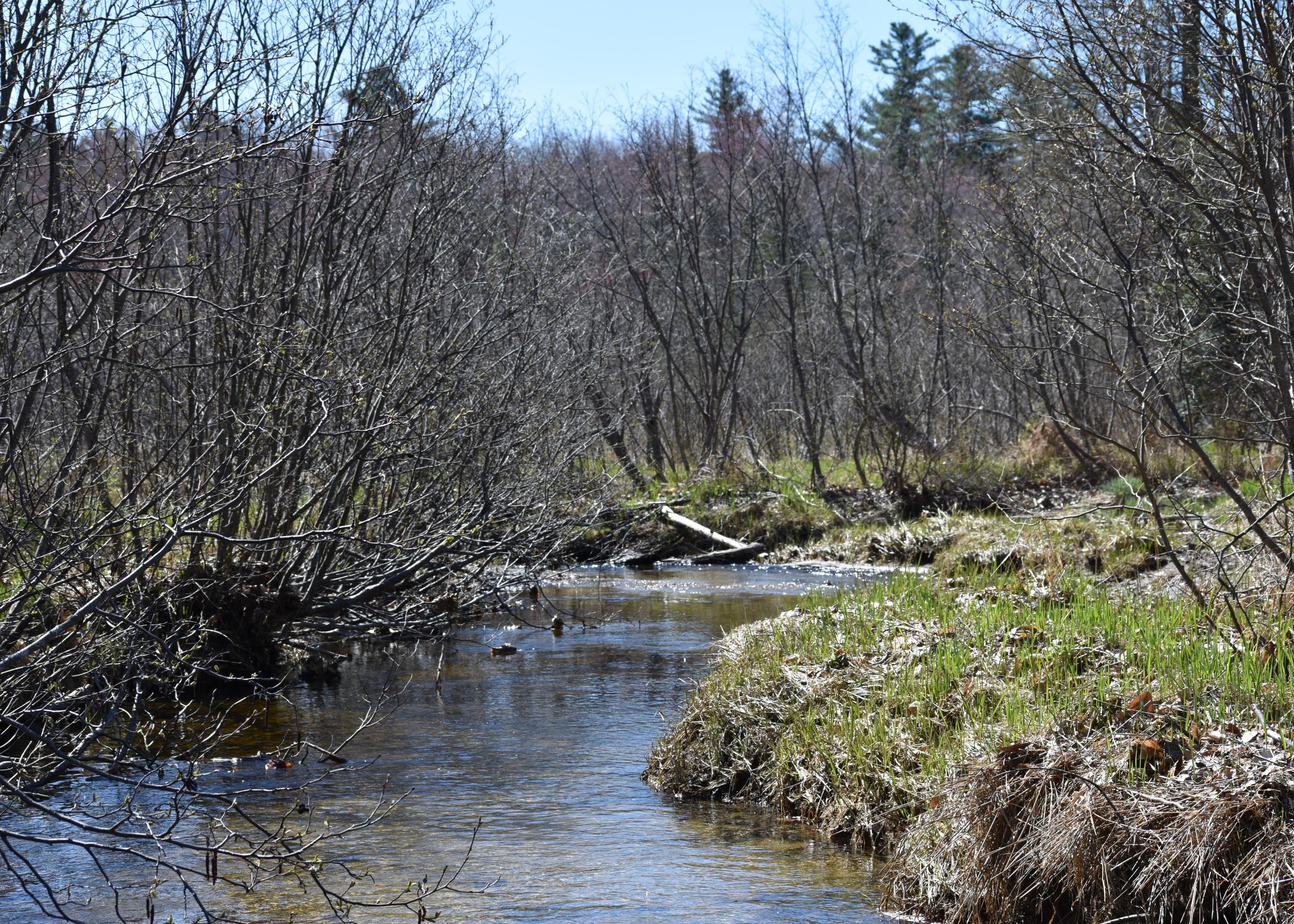 53 Twitchell Road Bryant Pond, ME 04219 - Photo 8 of 32 DSC_0123