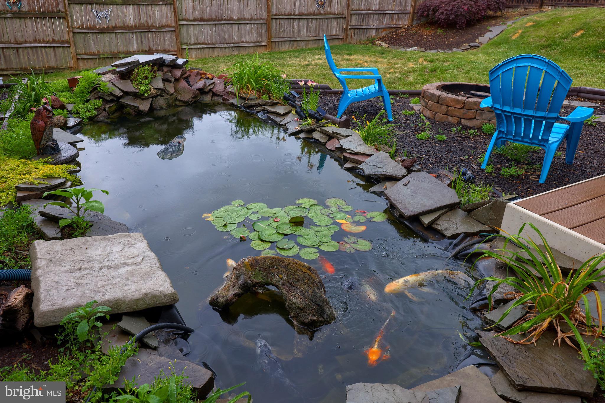 110 Aspen Avenue Reading, PA 19608 - Photo 7 of 41 Fish pond