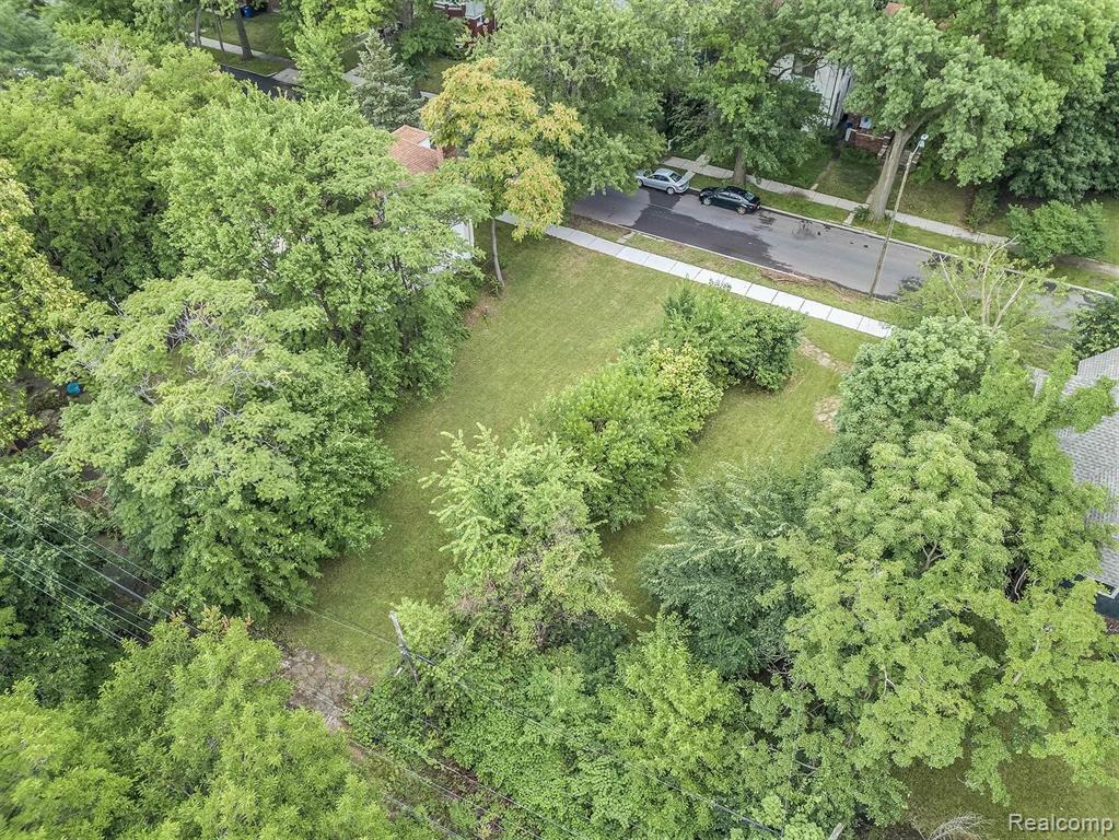 227 Alger Street Detroit, MI 48202 - Photo 9 of 12 Gallery Image 9