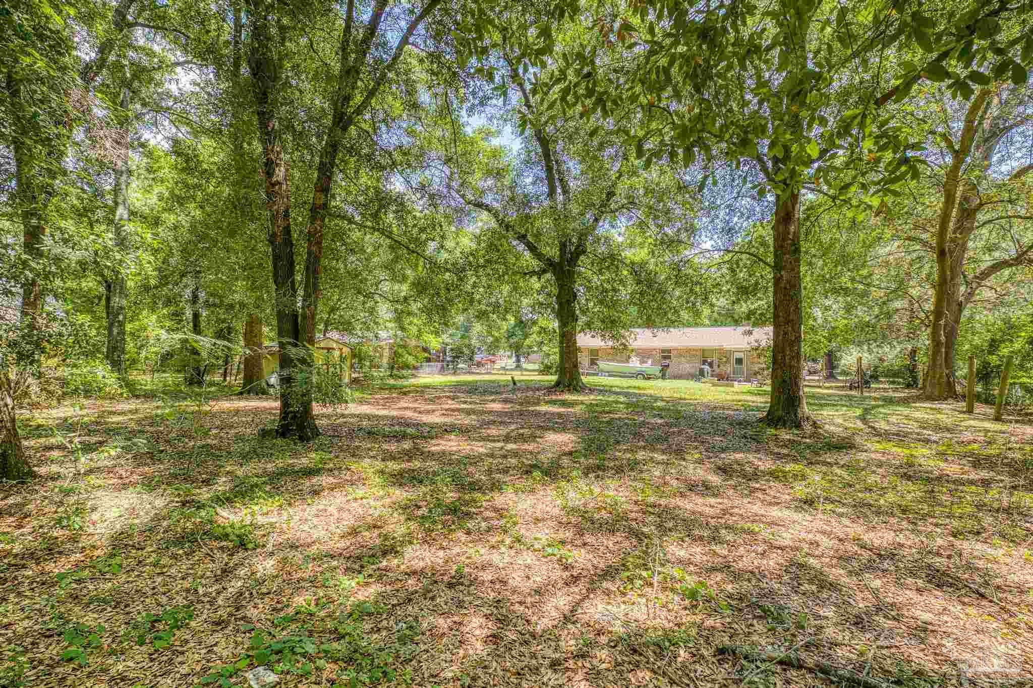 4281 Tomahawk Trail Milton, FL 32583 - Photo 4 of 42 a view of a yard with a tree