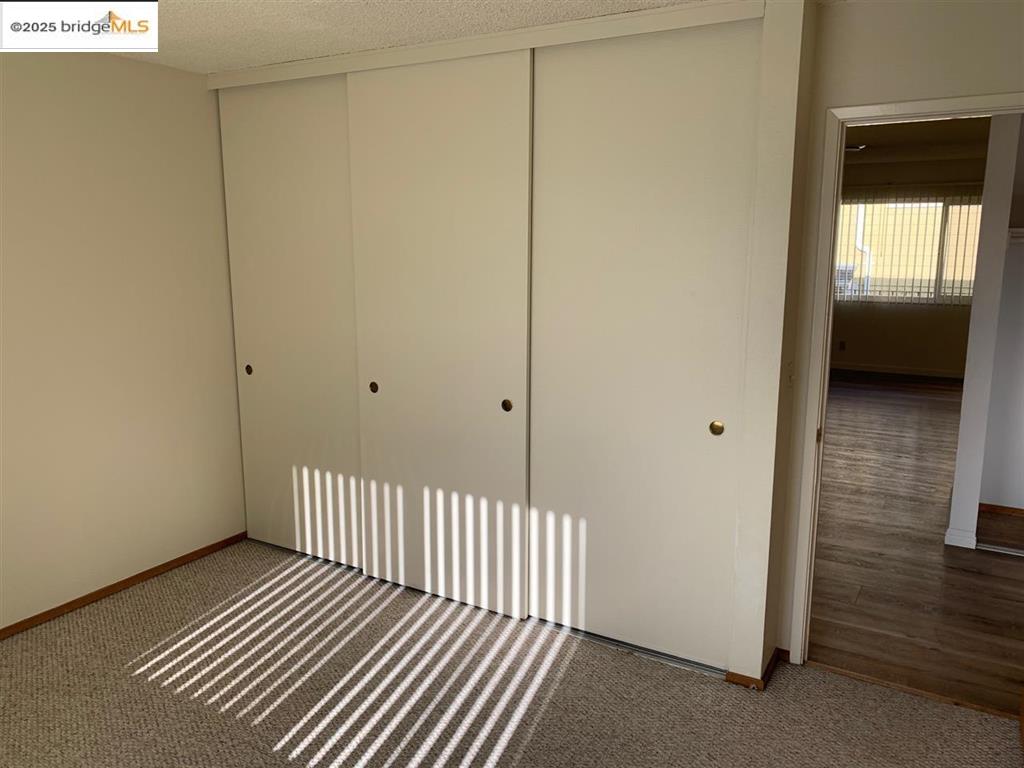 708 Solano Avenue, Unit D Albany, CA 94706 - Photo 17 of 23 Unfurnished bedroom featuring a textured ceiling, carpet floors, and a closet