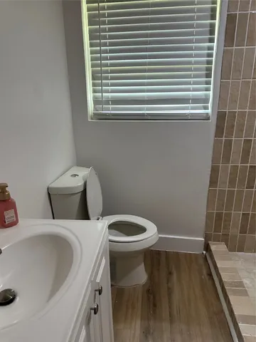 a bathroom with a sink and a toilet