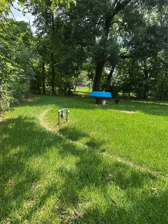 a garden view