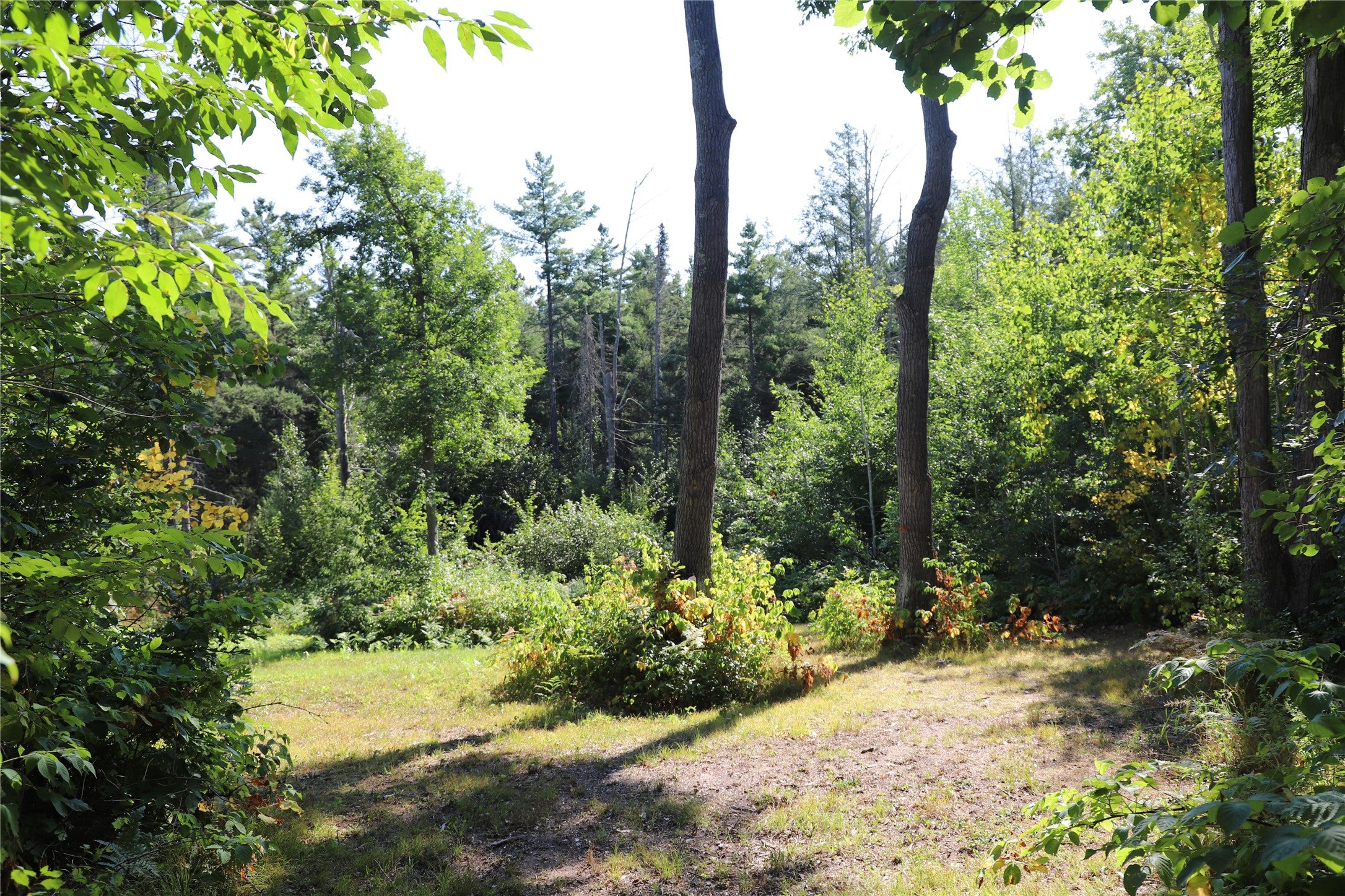 0 Sand Lake Road Stone Lake, WI 54876 - Photo 37 of 38 Gallery Image 37