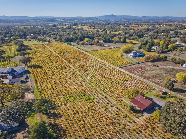 a view of city and ocean
