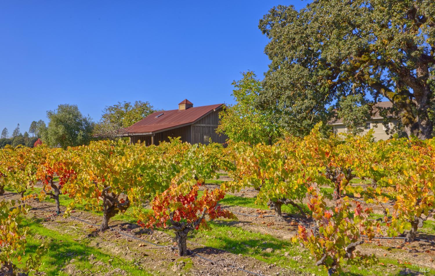 1623 Willowside Road Santa Rosa, CA 95401 - Photo 2 of 47 a view of a yard
