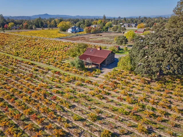 a backyard of a house with lots of plants