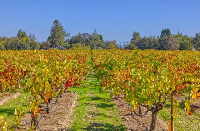 a view of lake and mountain