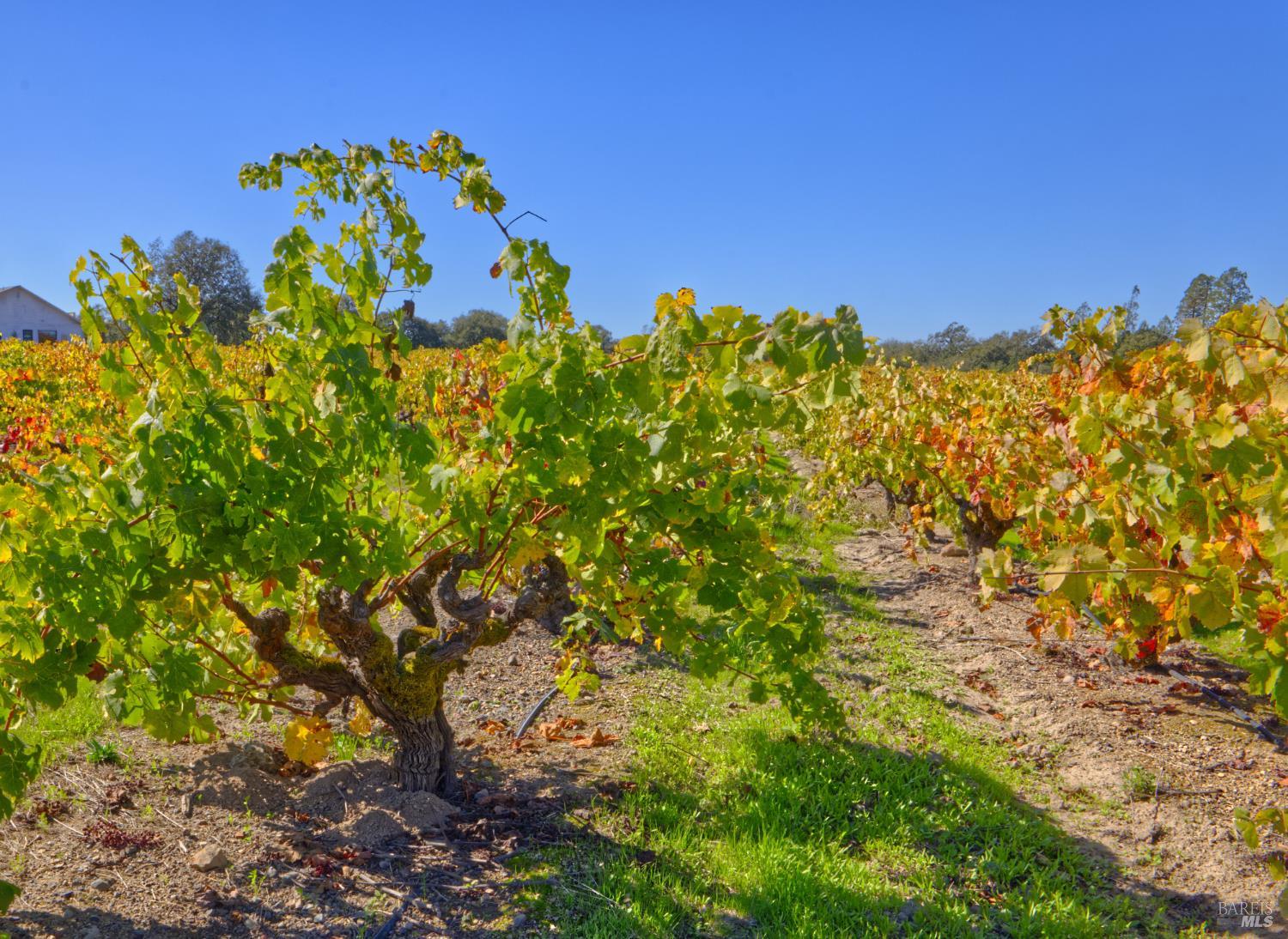 1623 Willowside Road Santa Rosa, CA 95401 - Photo 4 of 47