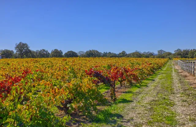 an aerial view of a swimming pool