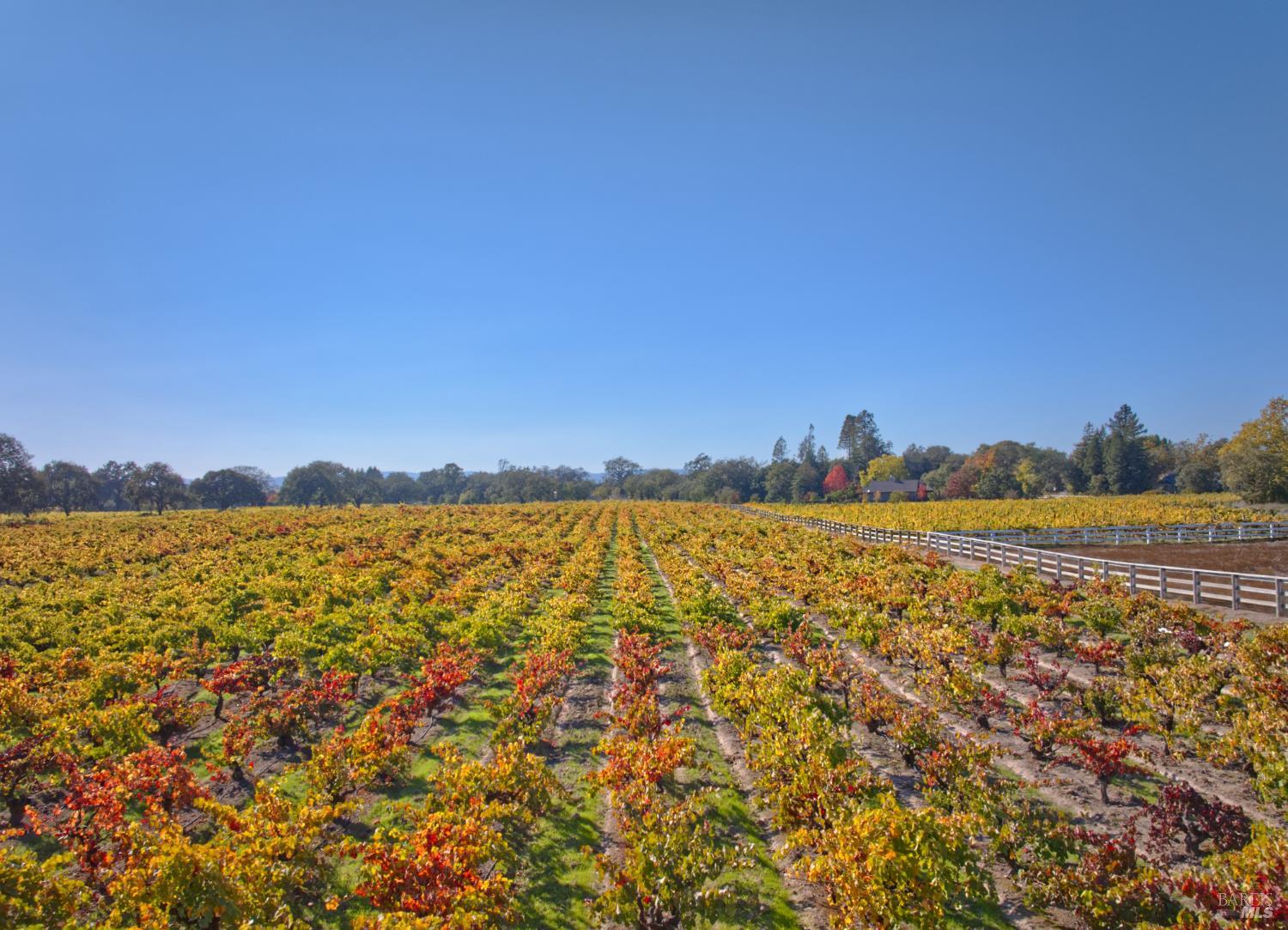 1623 Willowside Road Santa Rosa, CA 95401 - Photo 43 of 47 a view of lake and mountain