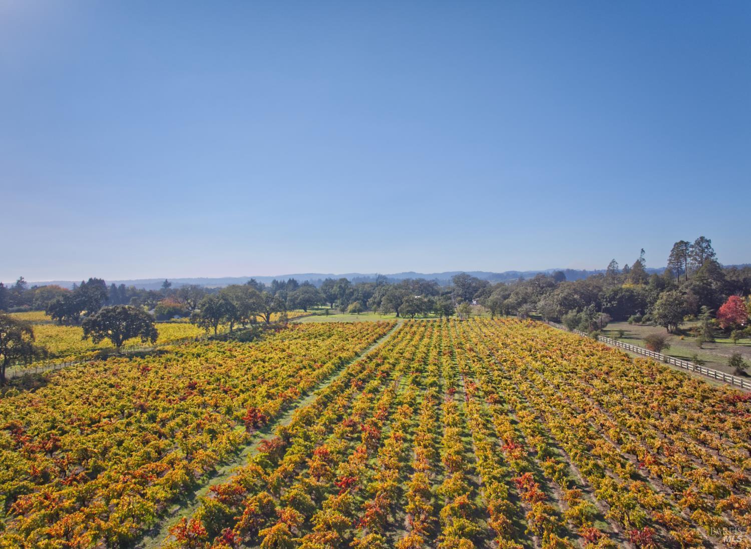 1623 Willowside Road Santa Rosa, CA 95401 - Photo 44 of 47