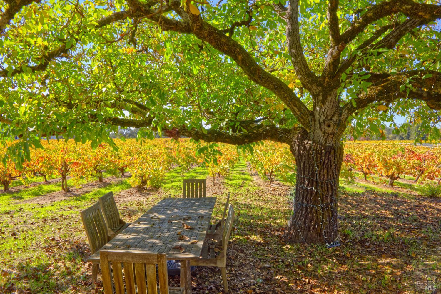 1623 Willowside Road Santa Rosa, CA 95401 - Photo 5 of 47 a view of an outdoor space with seating area