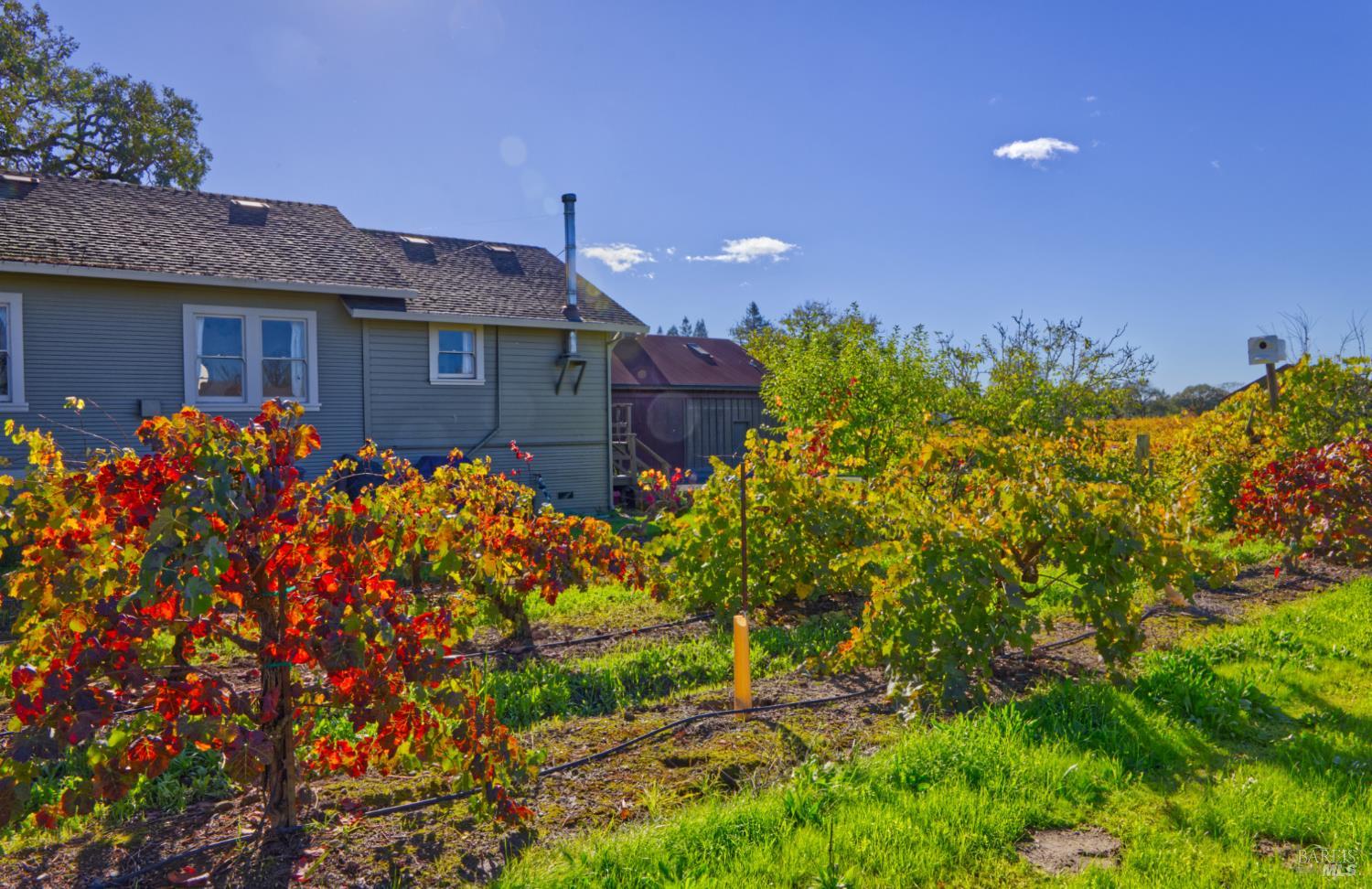 1623 Willowside Road Santa Rosa, CA 95401 - Photo 8 of 47 a front view of a house with a yard