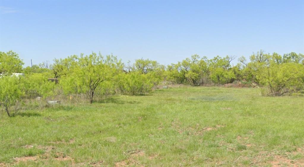 Tbd Haynes Street Merkel, TX 79536 - Photo 1 of 2 View of yard