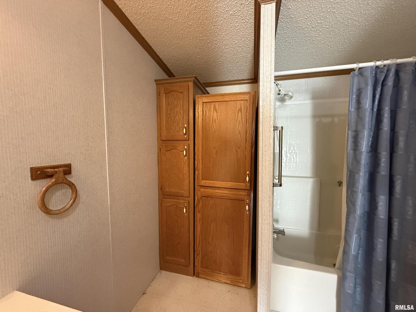 115 Mt Joy Road Murphysboro, IL 62966 - Photo 12 of 32