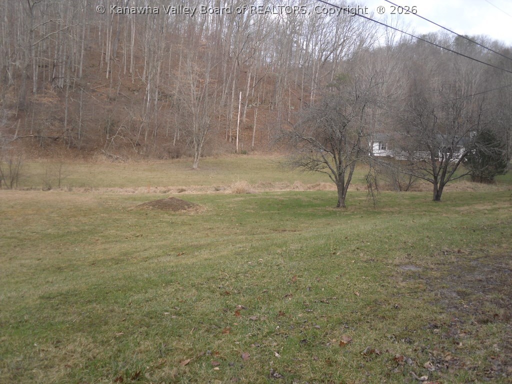 250A Brook Road South Charleston, WV 25309 - Photo 4 of 13 Gallery Image 4