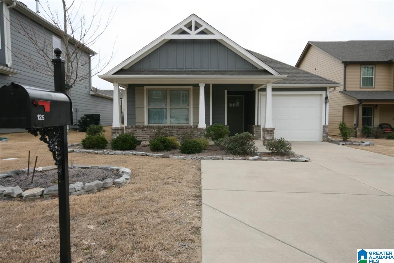 125 Blueberry Cove Springville, AL 35146 - Photo 1 of 20
