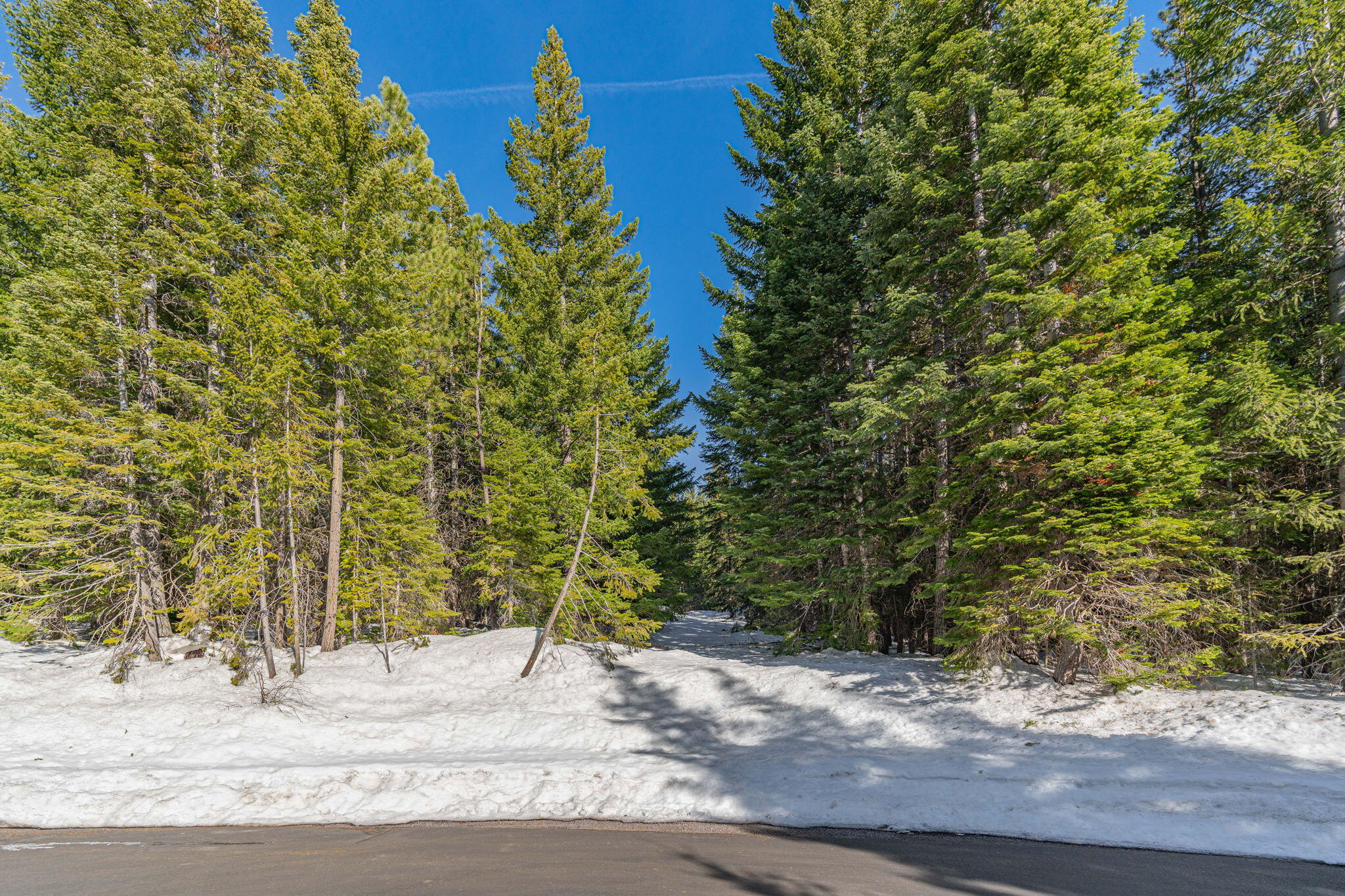 Royce Pine Rd Crescent Lake Crescent Lake, OR 97733 - Photo 7 of 23 7-Property2_Riley_Visuals-3