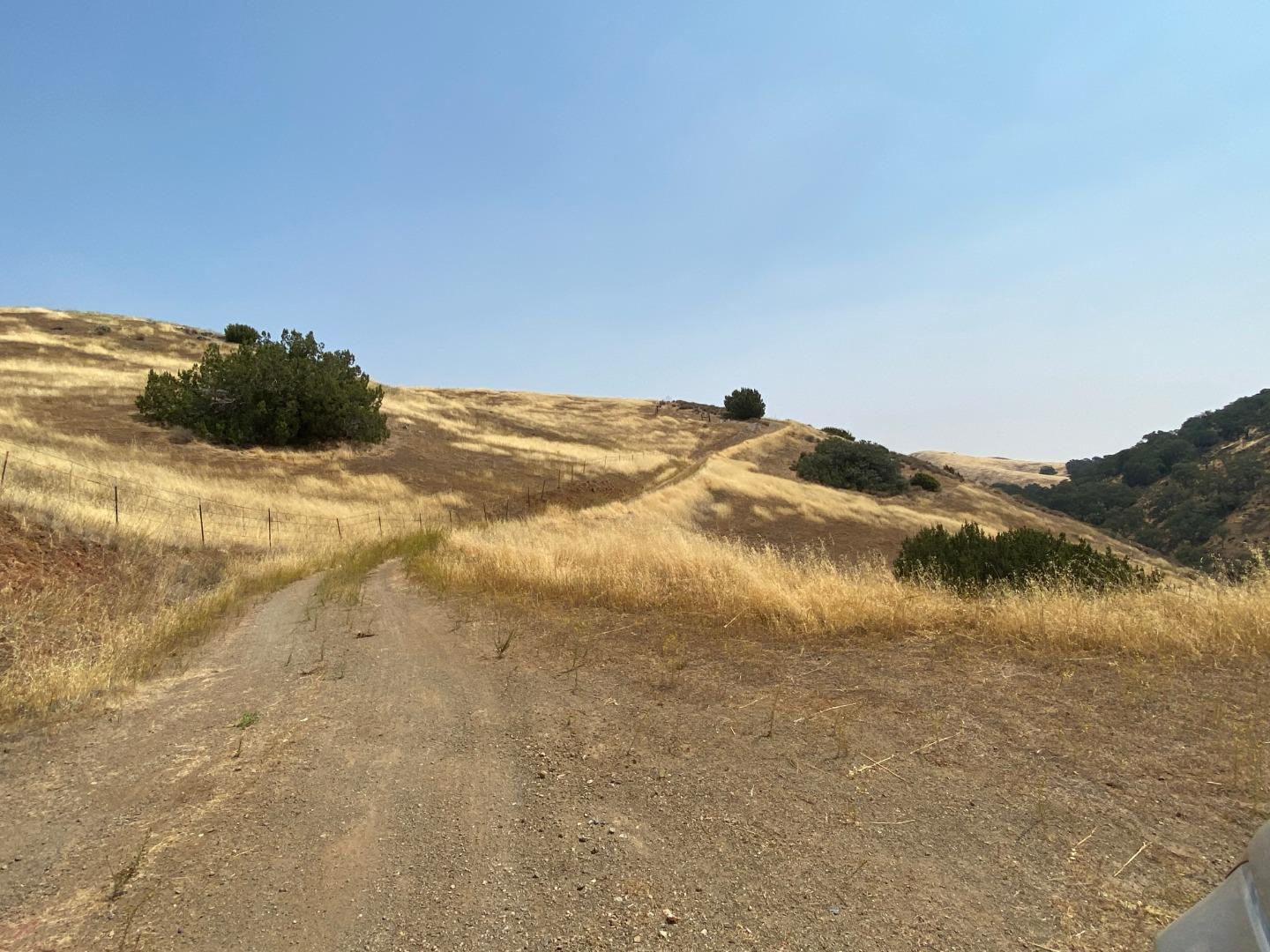 Lot 21 Panoche Road Paicines, CA 95043 - Photo 11 of 26 Gallery Image 11