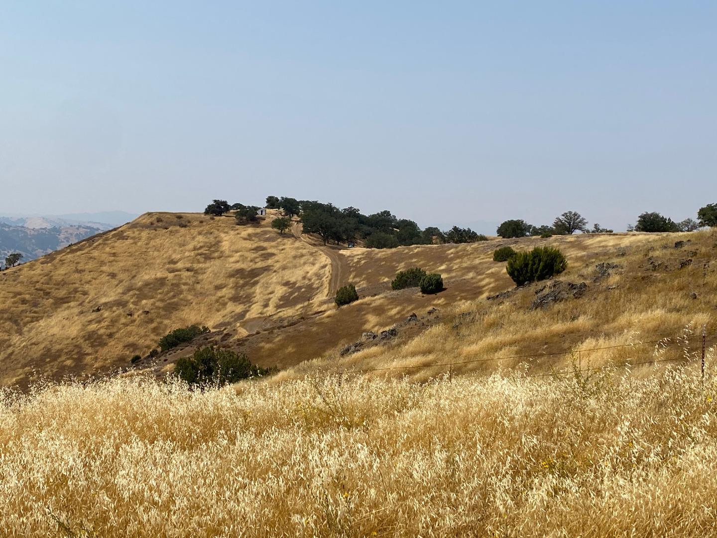 Lot 21 Panoche Road Paicines, CA 95043 - Photo 9 of 26 Gallery Image 9