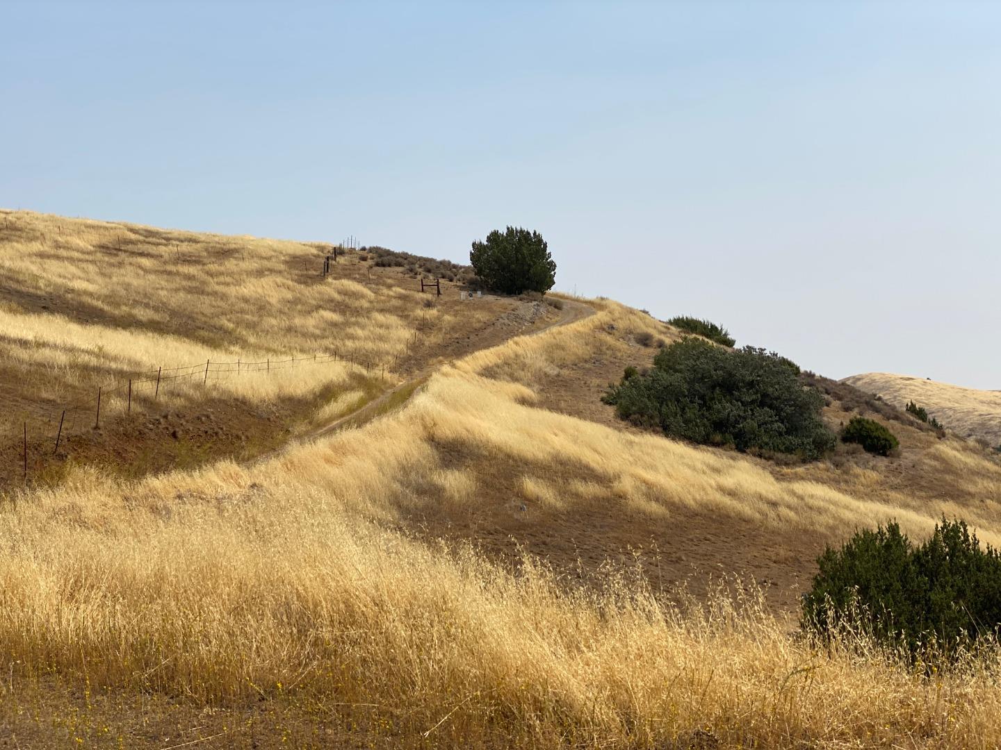 Lot 21 Panoche Road Paicines, CA 95043 - Photo 10 of 26 Gallery Image 10