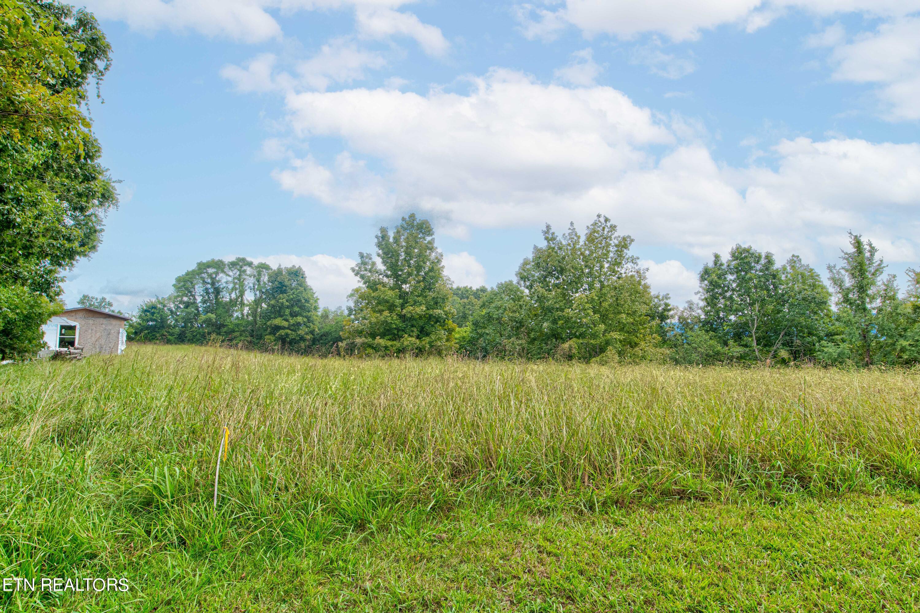 3596 Blue Springs Road Strawberry Plains, TN 37871 - Photo 4 of 15 Photo-13