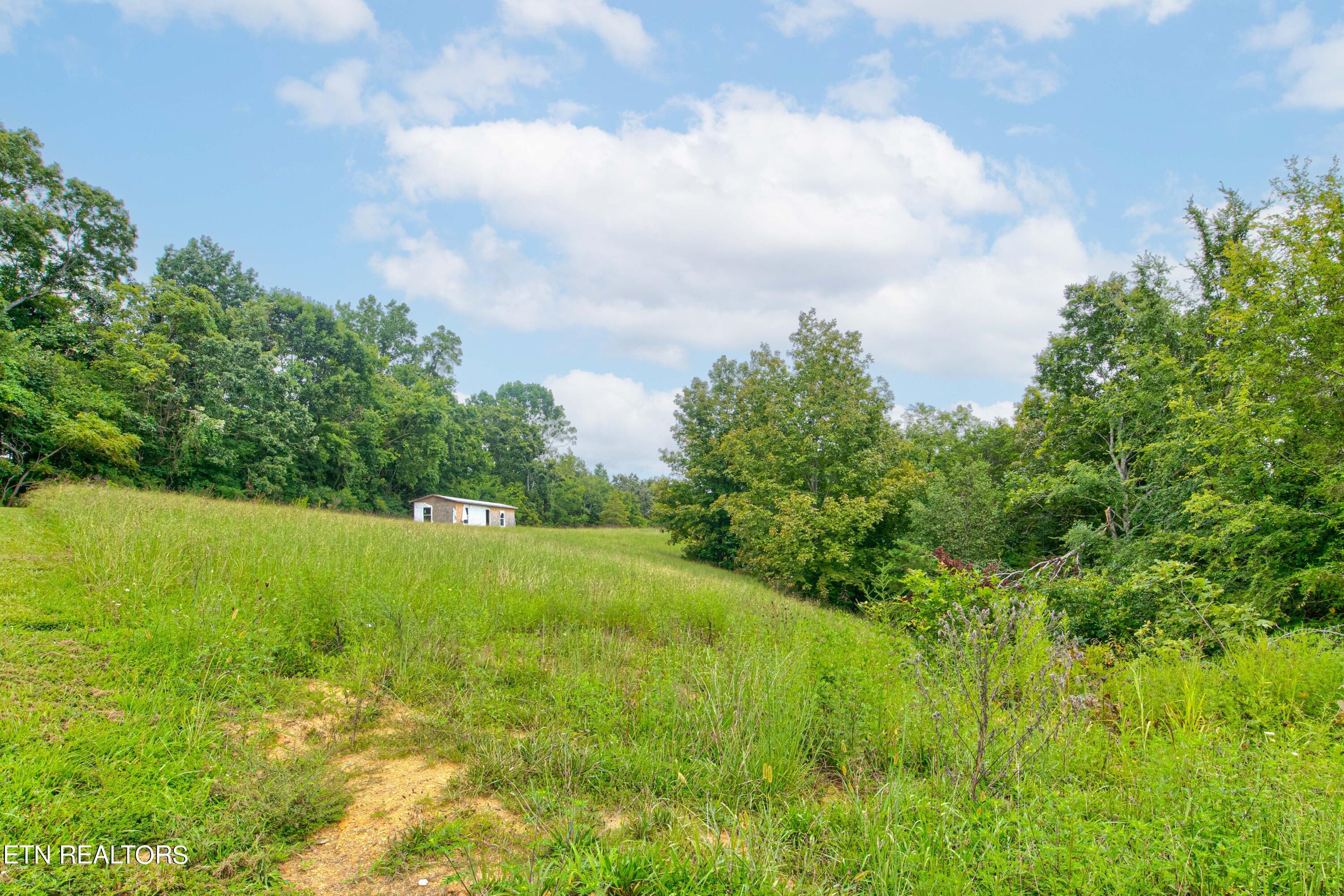 3596 Blue Springs Road Strawberry Plains, TN 37871 - Photo 7 of 15 Photo-19