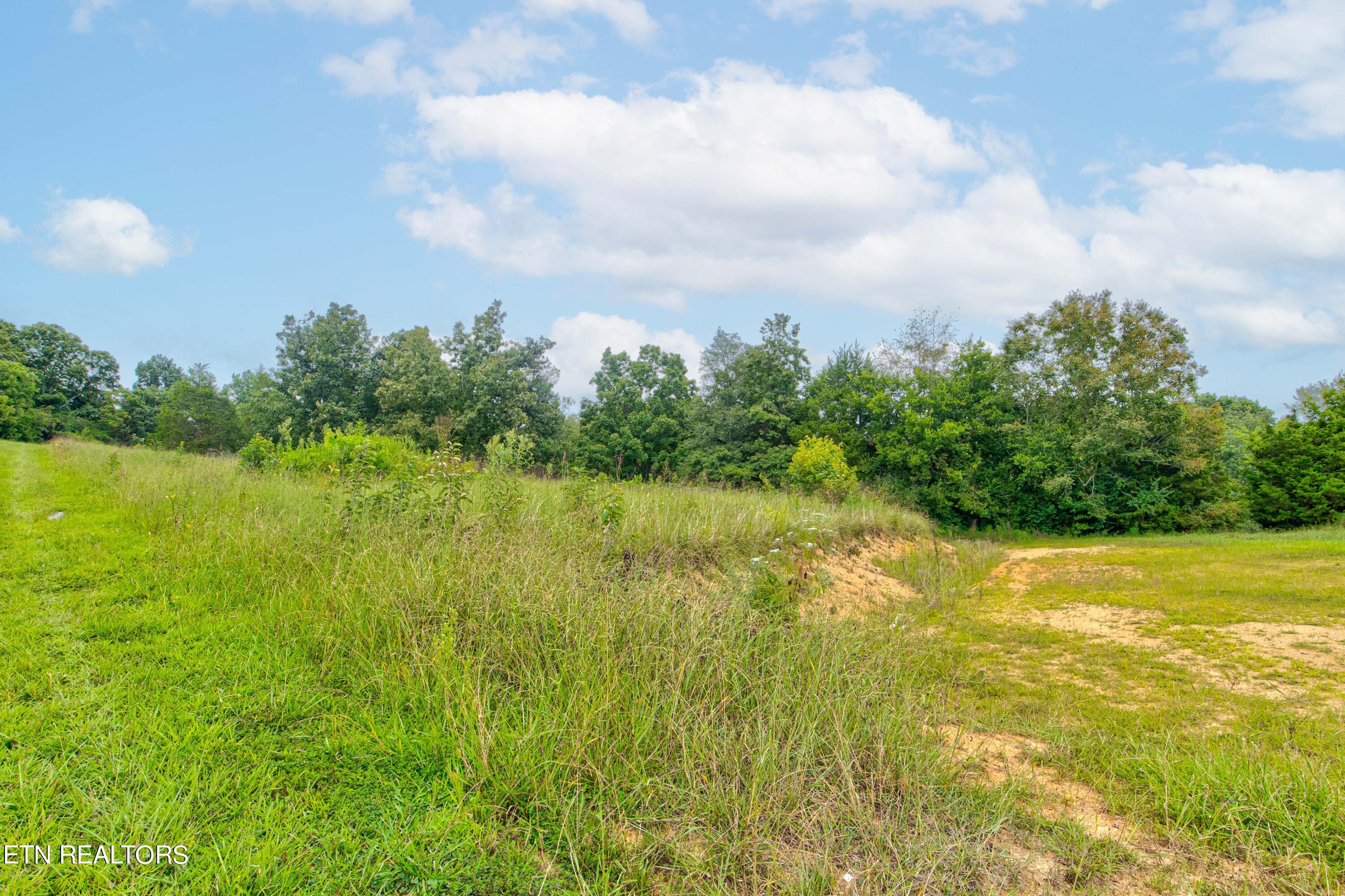 3596 Blue Springs Road Strawberry Plains, TN 37871 - Photo 8 of 15 Photo-20