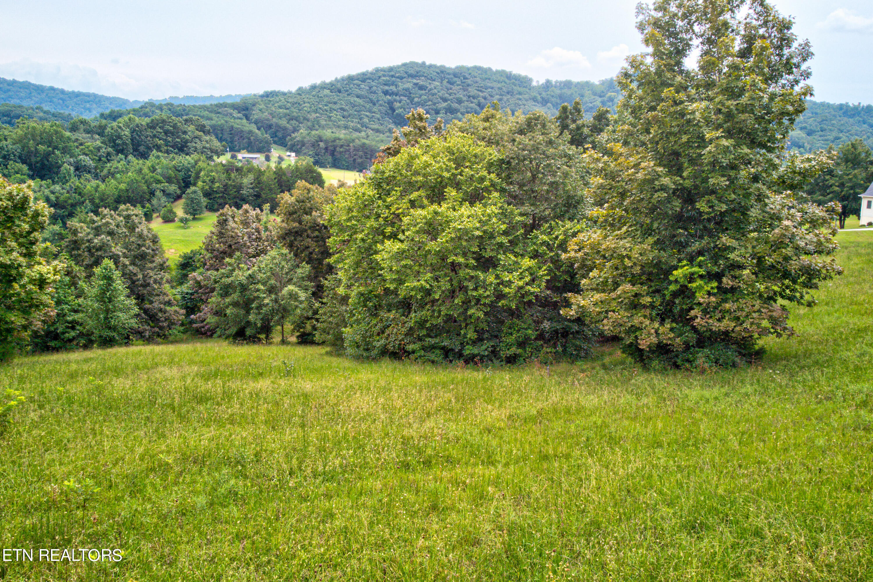 3596 Blue Springs Road Strawberry Plains, TN 37871 - Photo 9 of 15 Photo-17