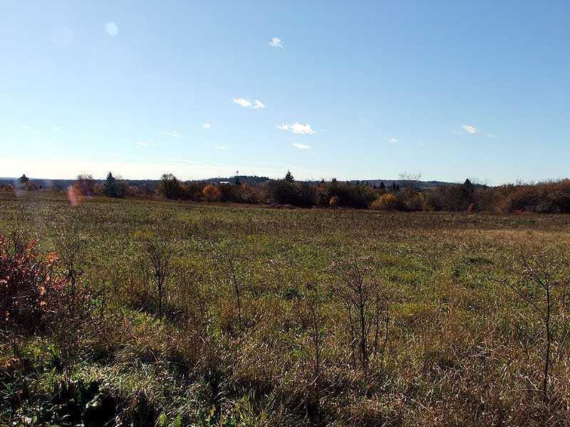 12-29 Lincoln Road Houlton, ME 04730 - Photo 7 of 25 Land.