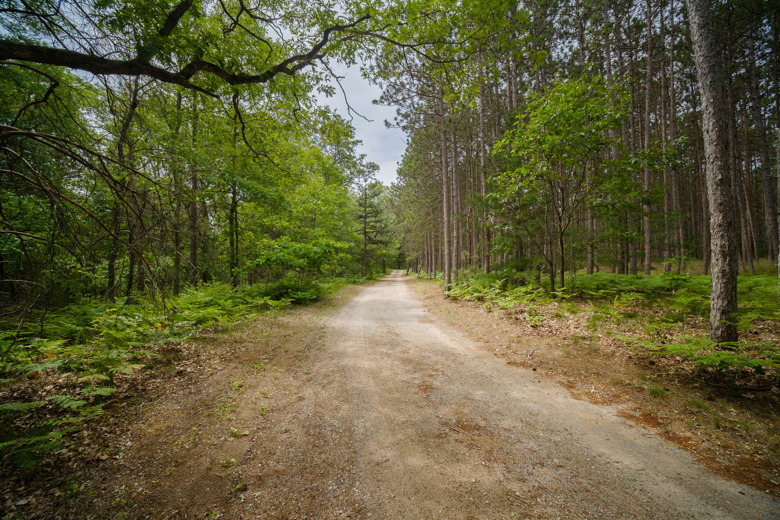 1076 Crystal Lake Road Whitehall, MI 49461 - Photo 55 of 89 1076_W_Crystal_Lake_Rd-55