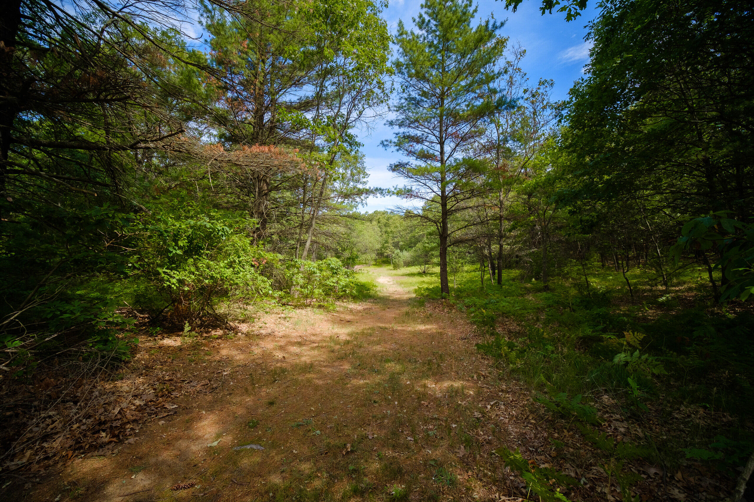 1076 Crystal Lake Road Whitehall, MI 49461 - Photo 9 of 89 1076_W_Crystal_Lake_Rd-09